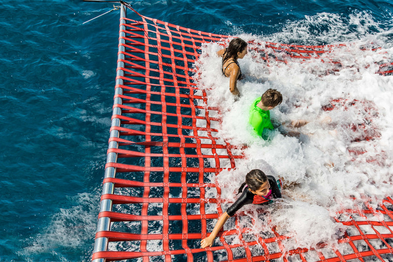 Splash Net Cruise and Dolphine Watching
