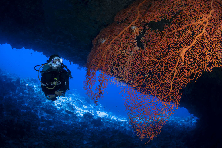 Diving at Como Maalifushi